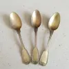 Ayurvedic Pure Brass Spoon