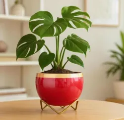 Decorative ceramic planter with metal stand for indoor plants wholesale exporter